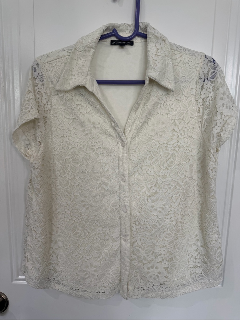 Adrianna Papell Cream Lace Button-Front Blouse